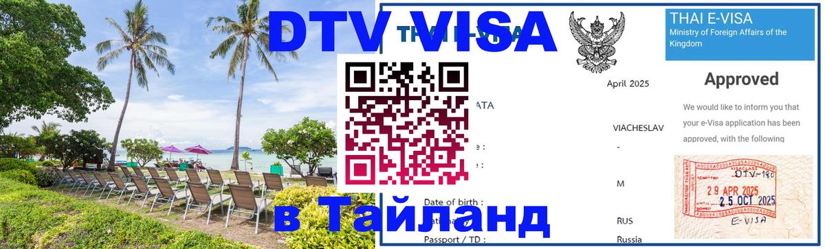 Сколько стоит DTV виза — актуальные цены, оформление даже без документов - 